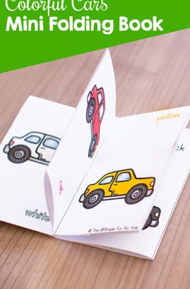 Colorful Cars Mini Folding Book