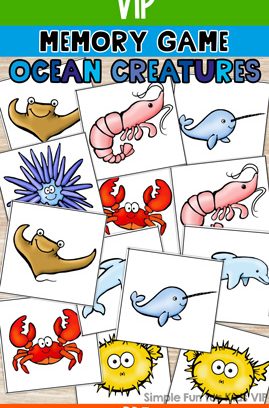 Ocean Creatures Memory Game