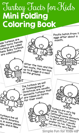 Learn and have fun with this cute Turkey Facts for Kids Mini Folding Coloring Book! Made from a single page with no gluing or stapling, perfect for a quick literacy activity for kindergarteners and first graders.